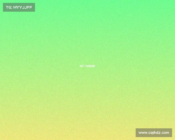 澳门11月赛事安排表